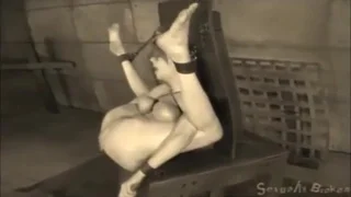 Qui è dove le cagne si sentono bene